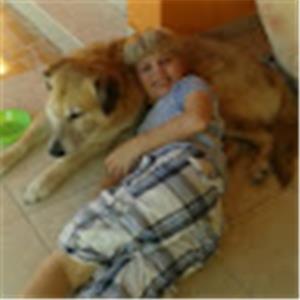 השוואת מחירים - תמונה