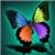 nasren.ad - תמונה nasren.ad - תמונה