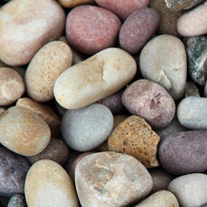 אנונימי - תמונה