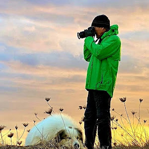 תמונת משתמש