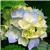 orit0906