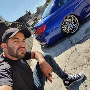 סנונו  - תמונה סנונו  - תמונה