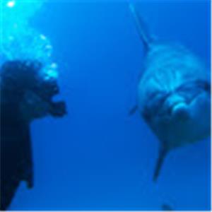 תמונת משתמש