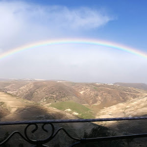 תמונת משתמש