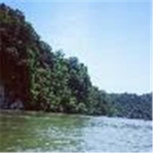 תמונת משתמש