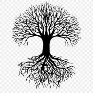 תמונת משתמש