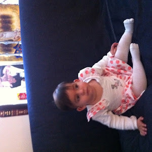 תמונת משתמש