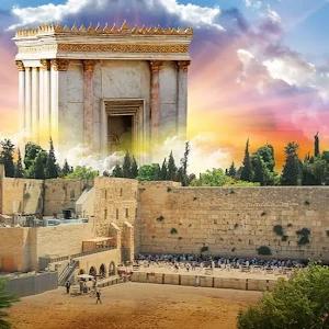 תמונת משתמש