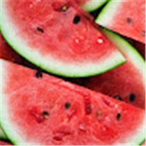 תמונת משתמש