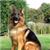 shilo76543