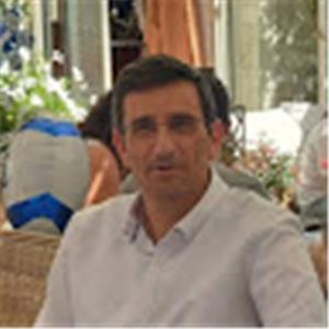 domovich - תמונה