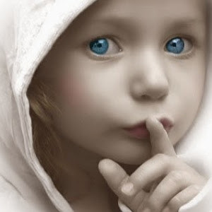 מסגריית ניצוץ - תמונה