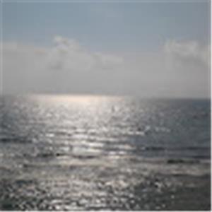 sefi201078 - תמונה sefi201078 - תמונה