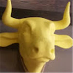 תמונת משתמש