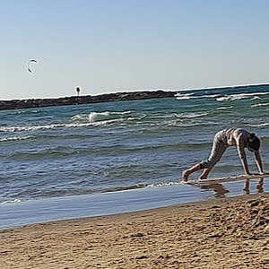 תמונת משתמש