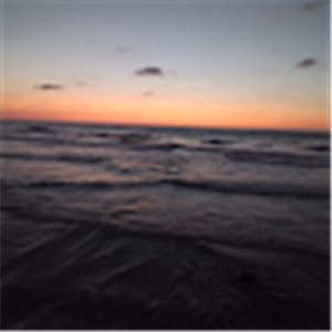 תמונת משתמש