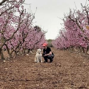 תמונת משתמש