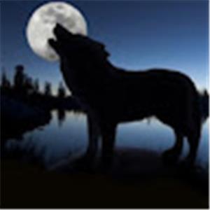 תמונת משתמש