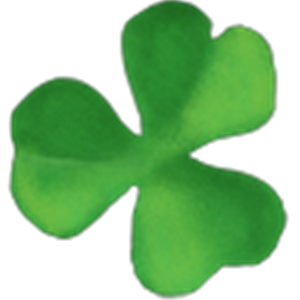 תמונת משתמש