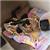 galitesh
