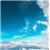 shimond111