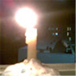 noamraanan - תמונה noamraanan - תמונה