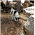 ayelet.wallwater - תמונה ayelet.wallwater - תמונה