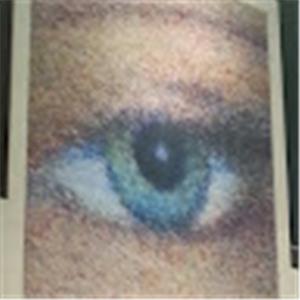 תמונת משתמש