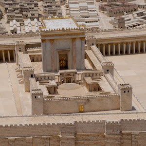 תמונת משתמש