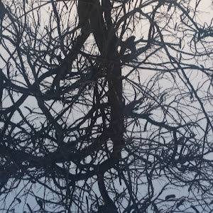 תמונת משתמש