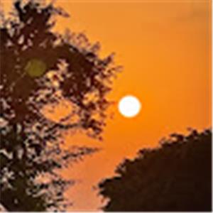 תמונת משתמש