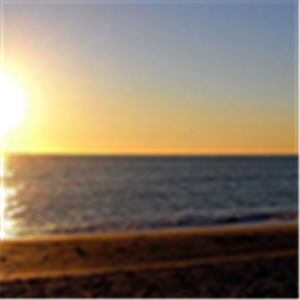 תמונת משתמש