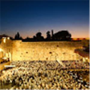 תמונת משתמש