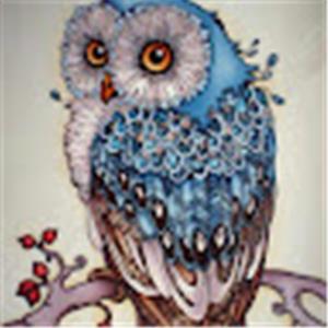 תמונת משתמש