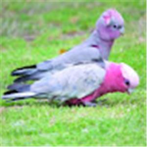 תמונת משתמש