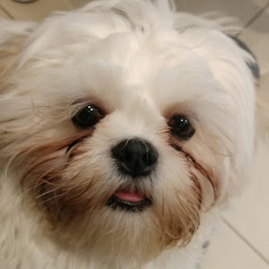 תמונת משתמש