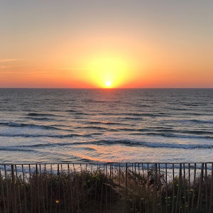 תמונת משתמש