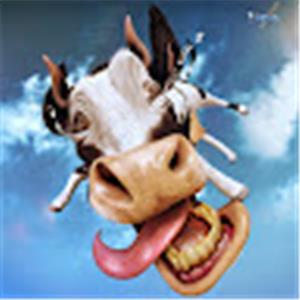 תמונת משתמש