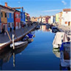 תמונת משתמש