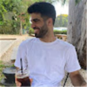 אמיר