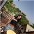 shanina.5299