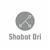 shabat.ori7