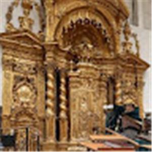 תמונת משתמש