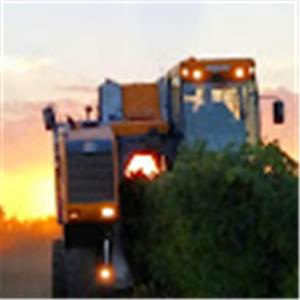 תמונת משתמש