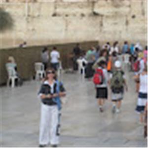 תמונת משתמש