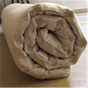 תמונת משתמש