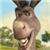 Nurit