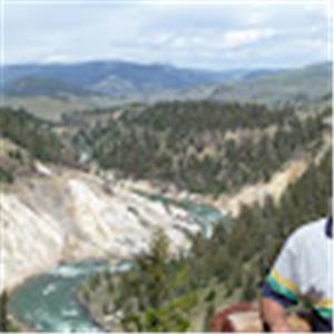 תמונת משתמש