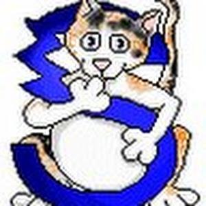 תמונת משתמש