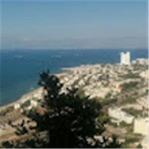 תמונת משתמש